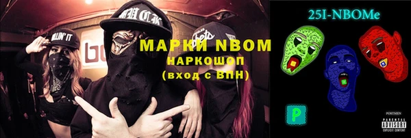 шишки Верея