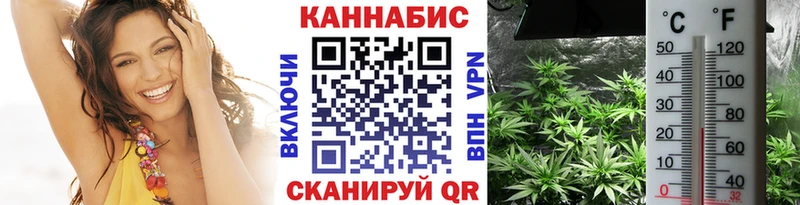 Бошки Шишки THC 21%  Инсар 